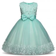 TTYAOVO Girls Lace Applique Dress Birthday Wedding Party Princess Prom Dresses