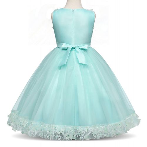  TTYAOVO Girls Lace Applique Dress Birthday Wedding Party Princess Prom Dresses