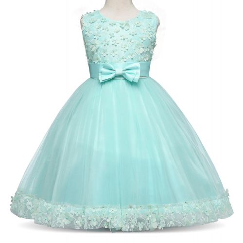  TTYAOVO Girls Lace Applique Dress Birthday Wedding Party Princess Prom Dresses