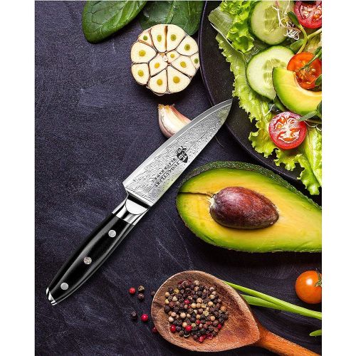  TUO Paring Knife - Peeling Knife?Ultra Sharp 3.5-inch - Small Kitchen Knives High?Carbon?Stainless?Steel?- Kitchen Utility Knife with G10 Full Tang Handle - Black Hawk-S Knive