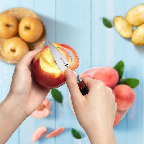  TUO Paring Knife 3.5 inch Peeling Knife Professional Fruits Knife Vegetable Peeler Razor Sharp Small Kitchen Knife, Premium AUS 8 Steel with Pakkawood Handle, Ring Lite Series with