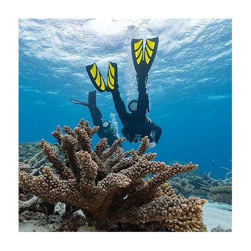  TUSA SF-0111 Hyflex Zoom Scuba Diving Fins