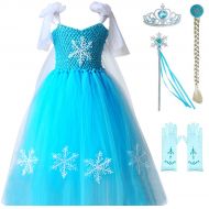 TYHTYM Elsa Anna Princess Dresses Girls Queen Frozen Tutu Cinderella Costumes Halloween Birthday Pageant Party with Tiara Wand Set