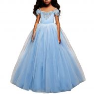 TYHTYM Stunning Blue Pageant Dresses for Girls Cinderella Costumes Puffy Tulle Princess Ball Gown Kids Birthday Party