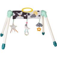 Taf Toys Mini Moon Take-to-Play Baby Activity Gym | Newborn All Time Entertainment, Double Sided for 2 Developmental Stages, Foldable, Easy Storage and Mobility, Perfect to Use with Bouncers.