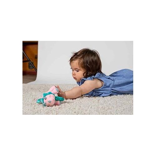  Soft Baby Rattle with Soothing Teether Ring and Sensory Tags, 6-Inches, Aroar-a-saurus Dinosaur