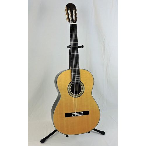  Takamine H8SS Classical Nylon String Acoustic Guitar with Hard Case