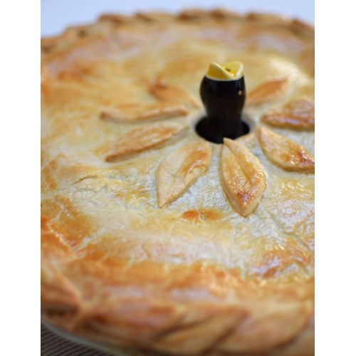  Tala Pie Bird in Tin, Black