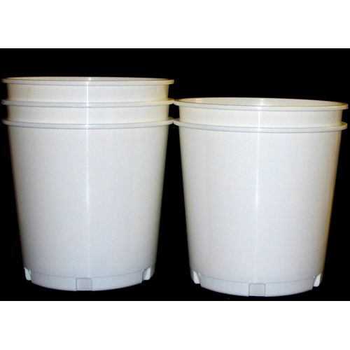  Talisman Church Offering, Donation Buckets, 12 Pack, White