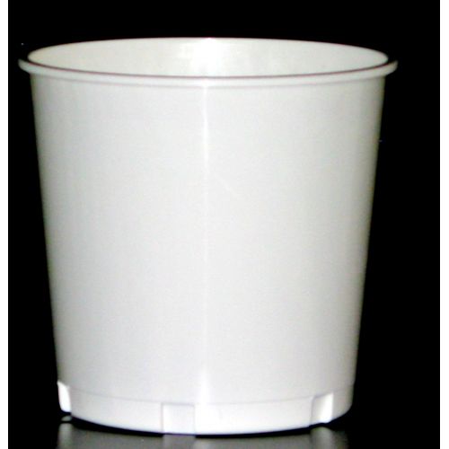  Talisman Church Offering, Donation Buckets, 12 Pack, White