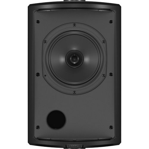  Tannoy 6