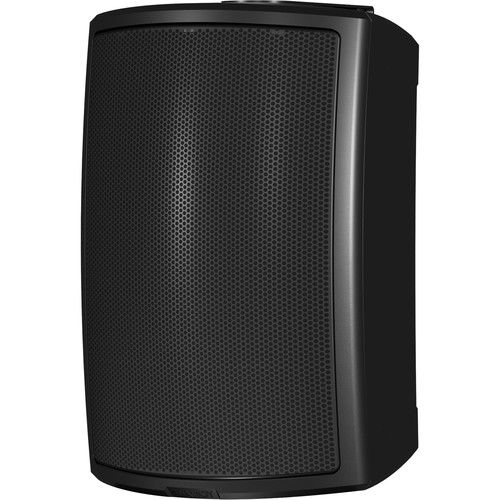  Tannoy 6