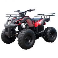 Tao Kids 4-wheeler by FamilyGoKarts Red Spider TForce ATV