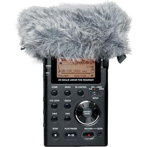  Tascam WS-11 Windscreen for DR-Series Handheld Recorders