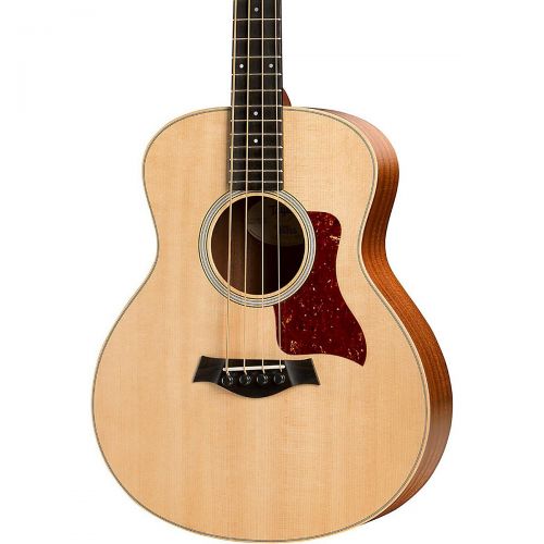  Taylor},description:Theres something undeniably inviting about the Taylor GS Minis scaled-down size, yet playing just a few notes reveal the impressive voice of a full-size instrum