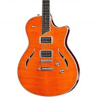 Taylor},description:Inspired by both the T5 and the SolidBody, Taylor takes the classic semi-hollowbody sound and applies signature Taylor design touches to the T3. Electronics inc