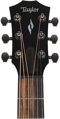  Taylor GT 811e Acoustic-electric Guitar - Natural