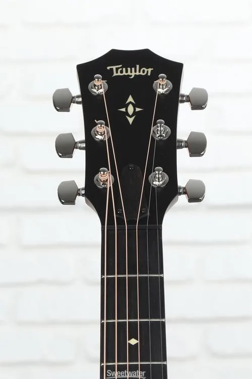  Taylor 517 Grand Pacific Builder's Edition V-Class - Wild Honey Burst