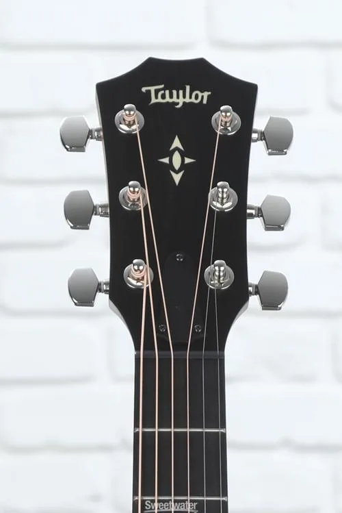  Taylor 517 Grand Pacific Builder's Edition V-Class - Natural