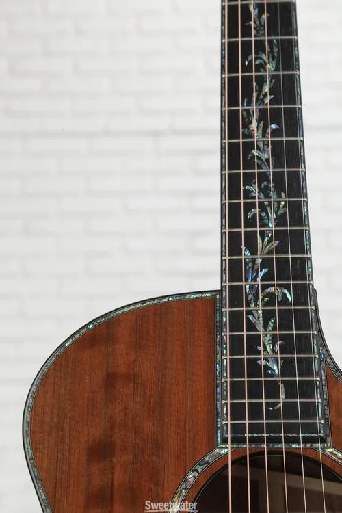  Taylor PS14ce - Natural Honduran Rosewood