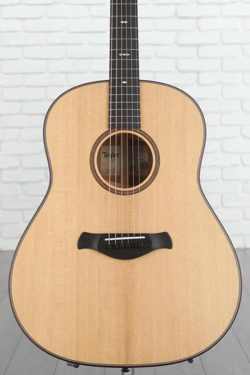  Taylor 517 Grand Pacific Builder's Edition V-Class - Natural Demo