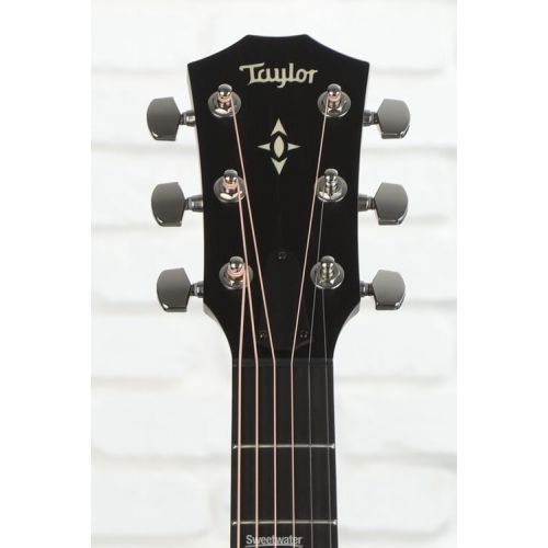  Taylor 517e Grand Pacific Builder's Edition V-Class - Natural