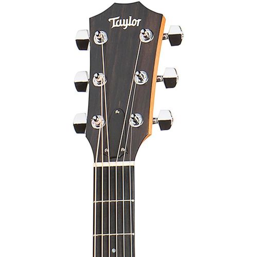  Taylor 114e - Layered Walnut Back and Sides