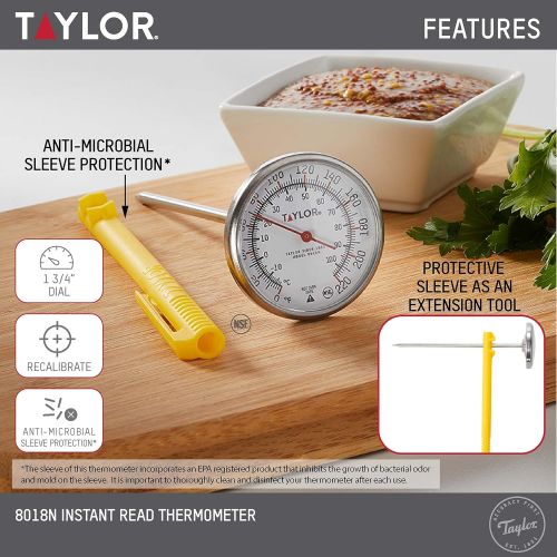  Taylor Precision Products Anti-Microbial Instant Read Thermometer (Extra Large Dial): Kitchen & Dining