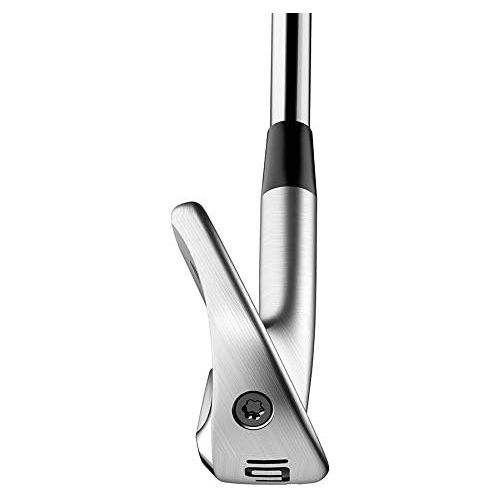  [아마존베스트]TaylorMade P770 Iron Set, Steel Shaft