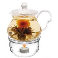 Glass Teapot Friendship series with Tea Warmer Cozy Lead Free Special Glass No Drip by Tea Beyond (Glass, 20 oz Clear)