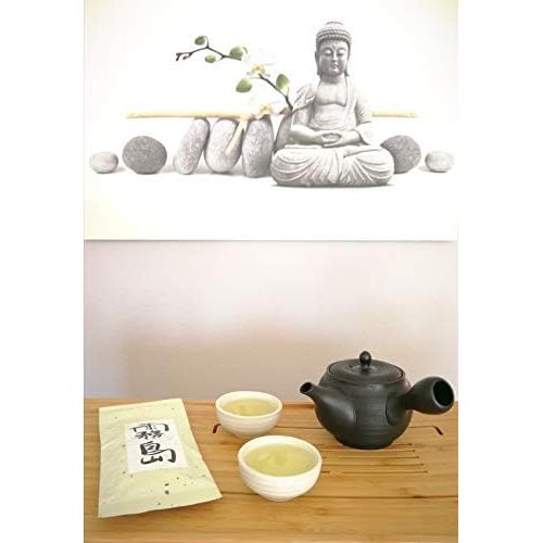  TeaClub Japanische Teekanne fuer Gruener Tee, Keramik Kyusu Schwarz 350ml Tokoname, Integriertes Teesieb, Asiatische Einhand-Teekanne