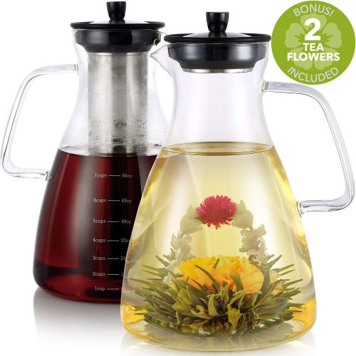  Teabloom Precision All-Brew Beverage Maker  Extra Large Stovetop Safe Glass Teapot / Coffee Maker -...