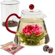 Teabloom Amore Glass Teapot Gift Set  Stovetop Safe Glass Teapot with Removable Glass Infuser  4-6 Tea Cups (34 oz)  Two Blooming Tea Flowers Included