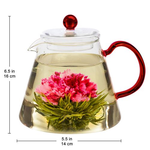  Teabloom Amore Glass Teapot Gift Set  Stovetop Safe Glass Teapot with Removable Glass Infuser  4-6 Tea Cups (34 oz)  Two Blooming Tea Flowers Included