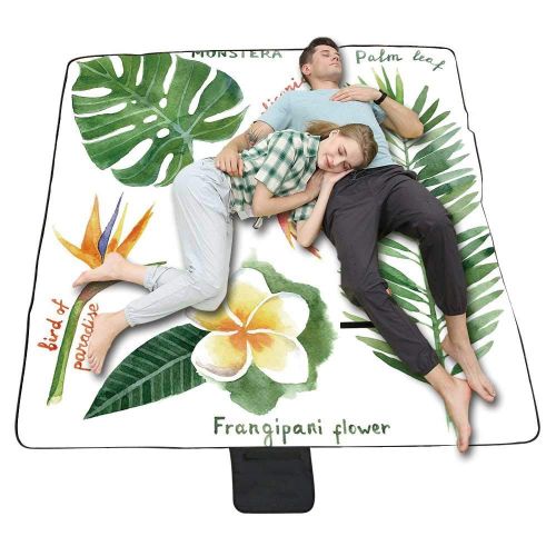  TecBillion Plant Outdoor Picnic Blanket,Set of Exotic Flowers and Ferns Botanical Elements Flora Variety of Leaves Decorative Mat for Picnics Beaches Camping,50 L x 78 W
