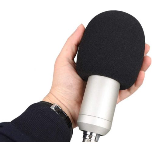  TeckeeTom 2pcs AT2020 Microphone Foam Cover Windscreen Pop Filter Black Compatible with Mic Audio Technica AT2020 ATR2500 AT2035 AT2050 AT4040 Cardioid Condenser Microphone Noise Reduction