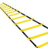 Teenitor 12 Rung Agility Ladder Speed Ladder Training Ladder for Soccer, Speed, Football Fitness Feet Training Carry Bag