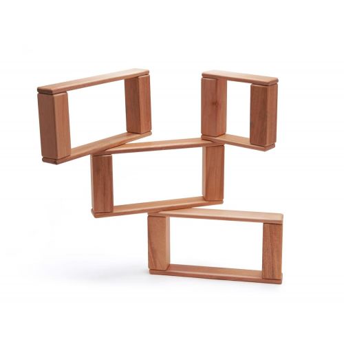  22 Piece Tegu Endeavor Magnetic Wooden Block Set, Mahogany