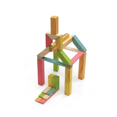  40 Piece Tegu Explorer Magnetic Wooden Block Set, Tints