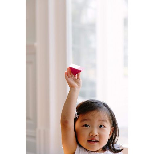  Tegu Skyhook Magnetic Wooden Block Set