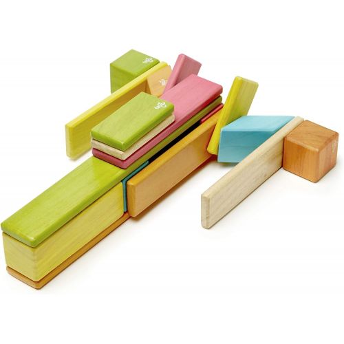  24 Piece Tegu Magnetic Wooden Block Set, Tints