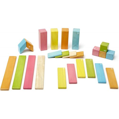  24 Piece Tegu Magnetic Wooden Block Set, Tints