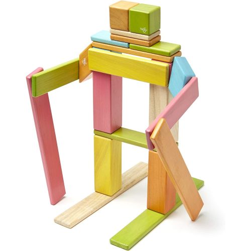  24 Piece Tegu Magnetic Wooden Block Set, Tints