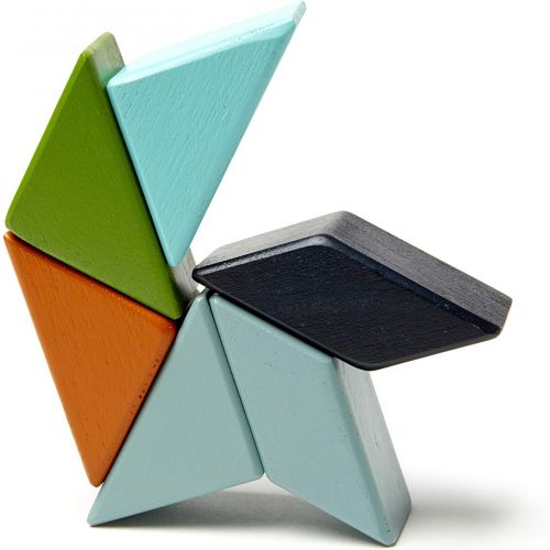  6 Piece Tegu Pocket Pouch Prism Magnetic Wooden Block Set, Nelson