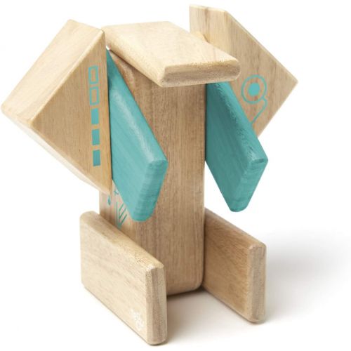  Tegu Robo Magnetic Wooden Block Set