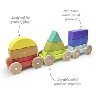 9 Piece Tegu Magnetic Shape Train Building Block Set, Rainbow