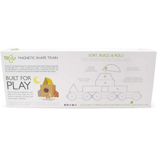  9 Piece Tegu Magnetic Shape Train Building Block Set, Rainbow