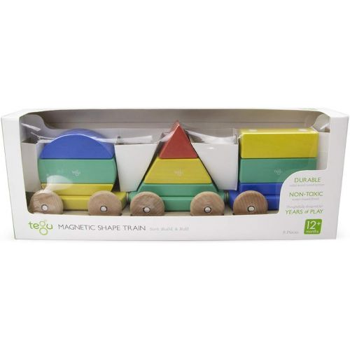  9 Piece Tegu Magnetic Shape Train Building Block Set, Rainbow