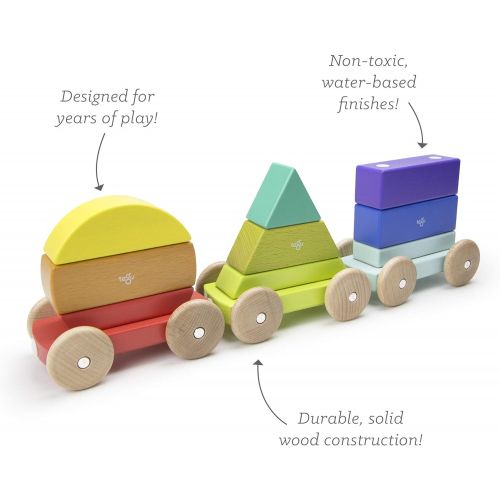  9 Piece Tegu Magnetic Shape Train Building Block Set, Rainbow