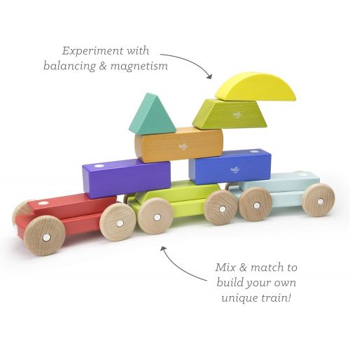  9 Piece Tegu Magnetic Shape Train Building Block Set, Rainbow